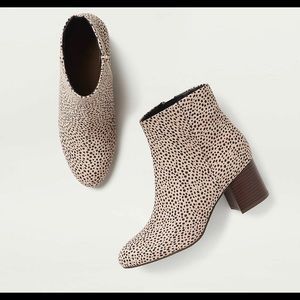 Loft Spotted Booties